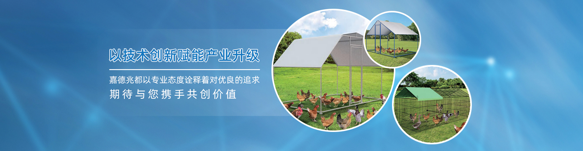 固定