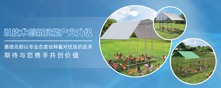 固定